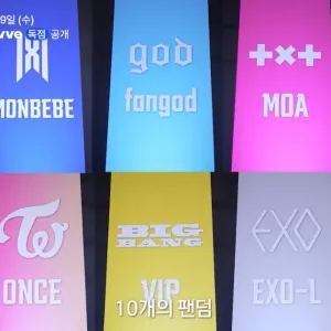 Fandom Stage