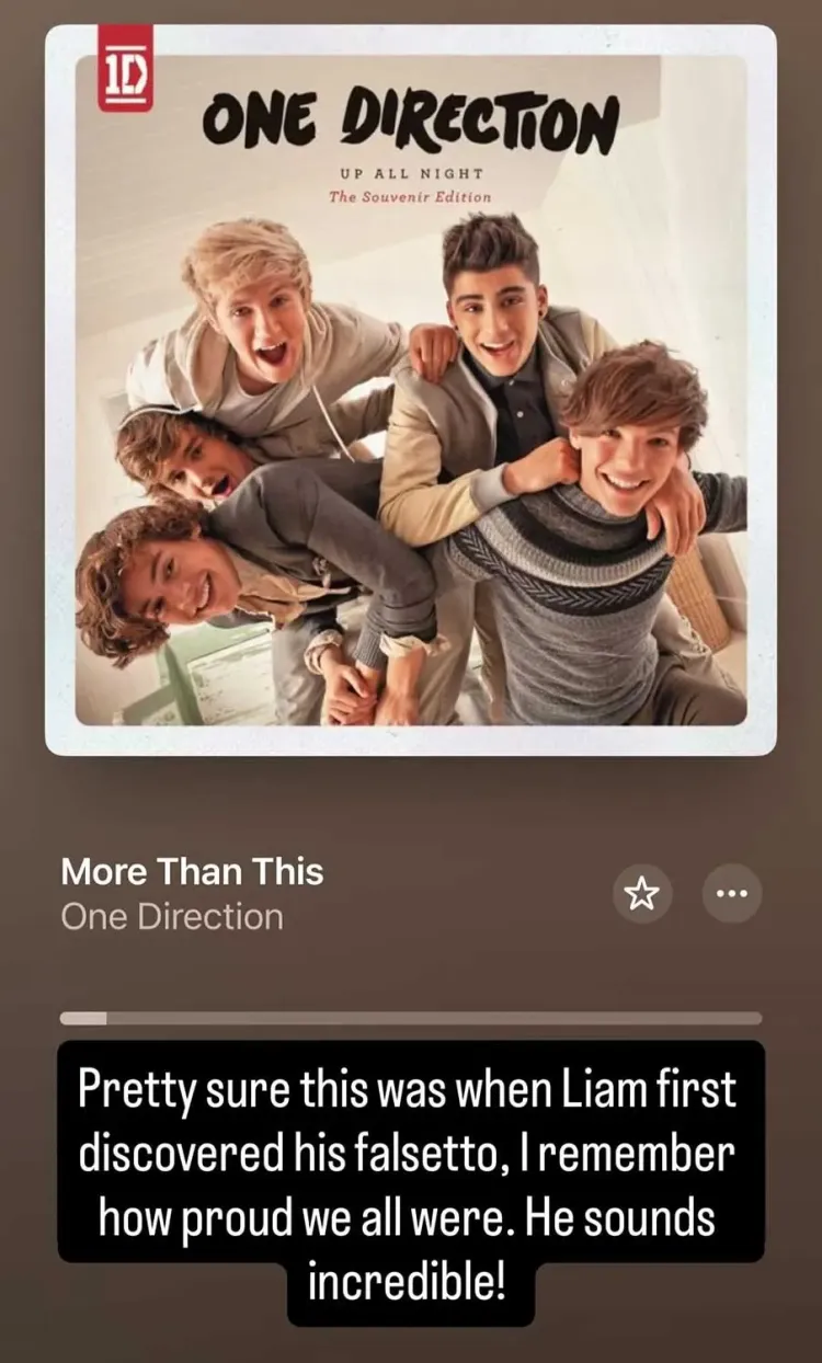 IG Louis Tomlinson Kenang 16 Tahun One Direction. (Foto: Tangkapan Layar Instagram story/louistomlinson)