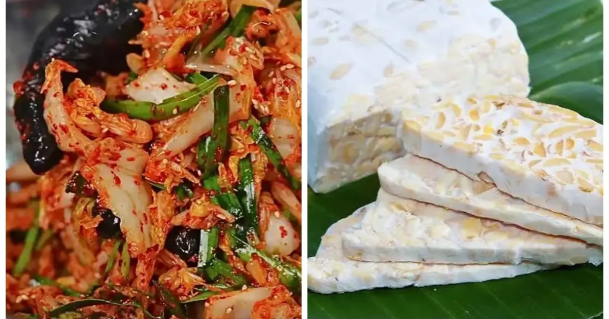 Kimchi dan tempe contoh makanan fermentasi