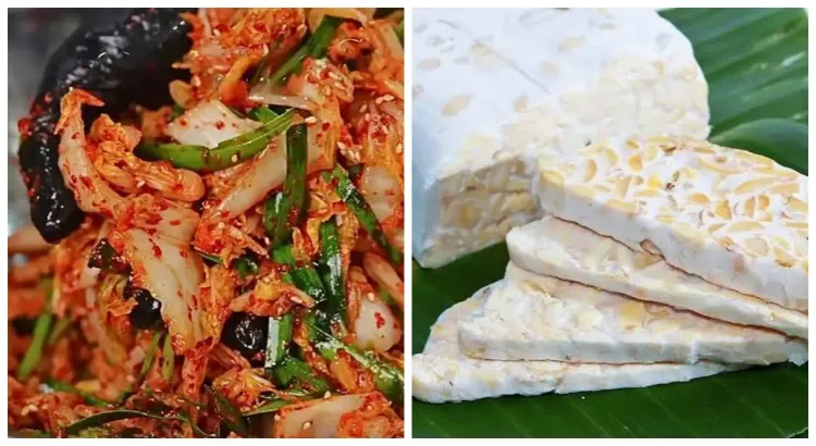 Kimchi dan tempe contoh makanan fermentasi