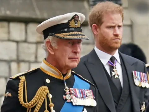 Pangeran harry raja charles