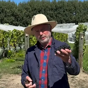 Sam Neill di kebun anggur Two Paddocks miliknya