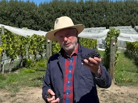Sam Neill di kebun anggur Two Paddocks miliknya