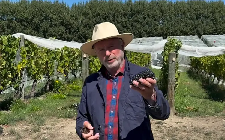 Sam Neill di kebun anggur Two Paddocks miliknya