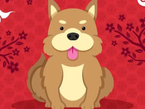 Shio Anjing