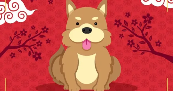 Shio Anjing