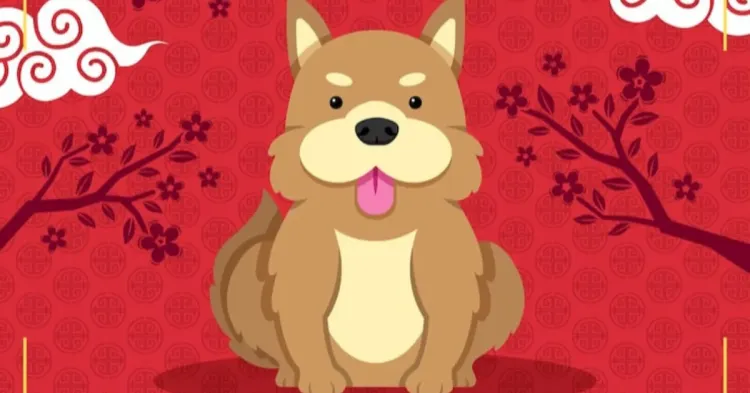 Shio Anjing