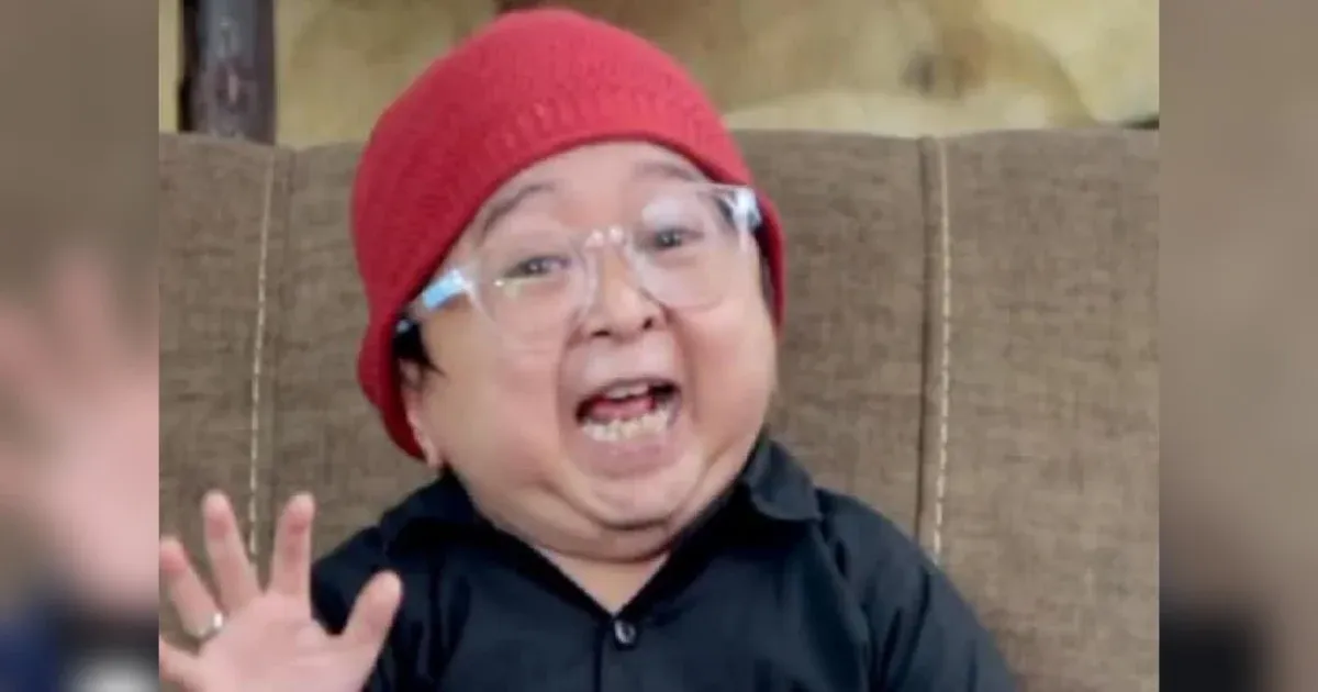 Daus mini