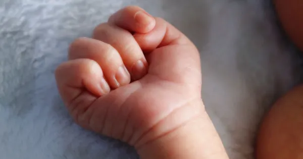 Ilustrasi bayi lahir