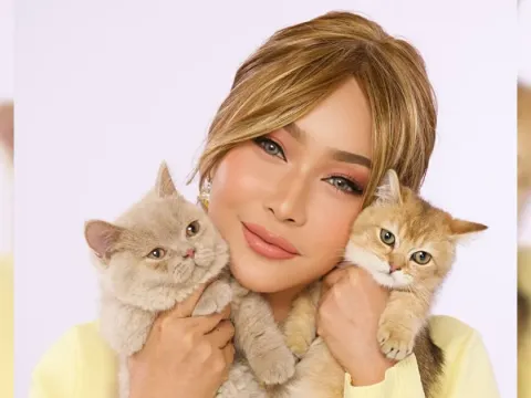 Kucing Inul Daratista