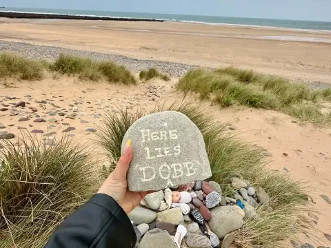 Pantai Freshwater West di Pembrokeshire Wales