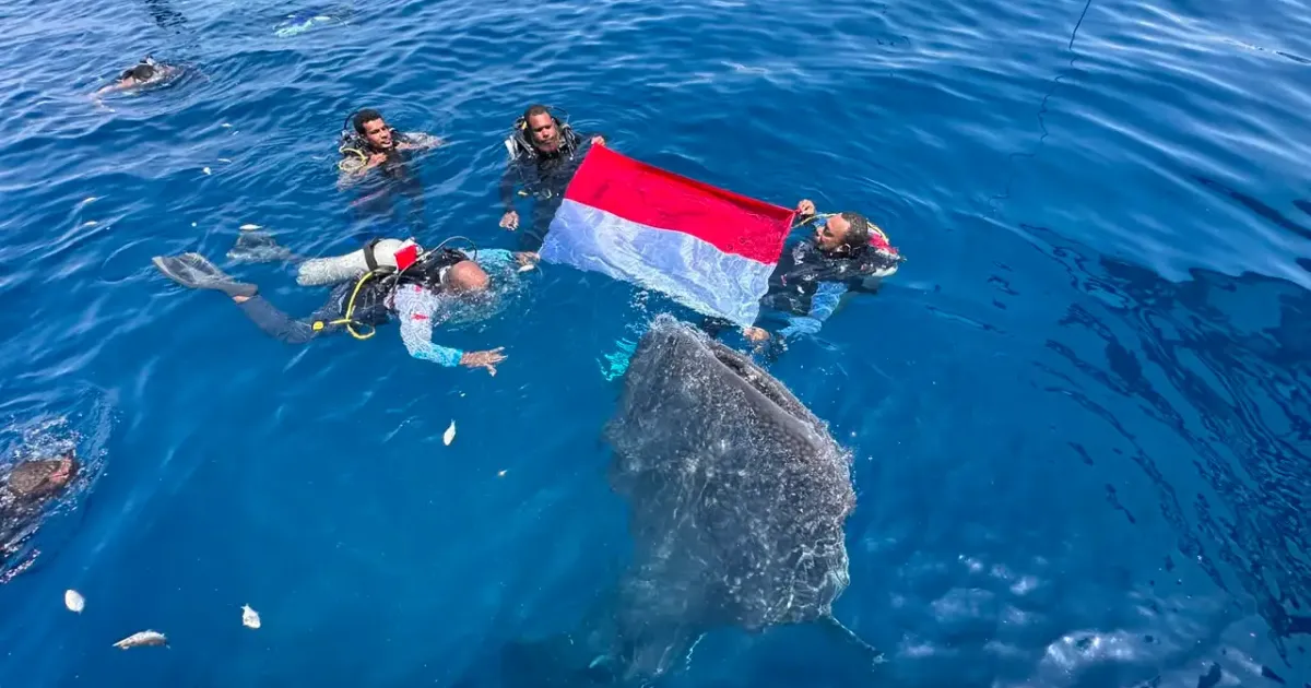 Pengibaran bendera Merah Putih di Teluk Cendrawasih