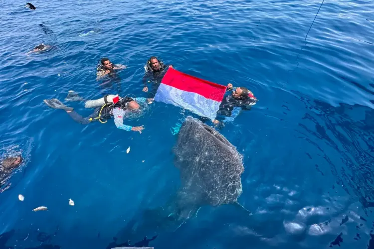 Pengibaran bendera Merah Putih di Teluk Cendrawasih