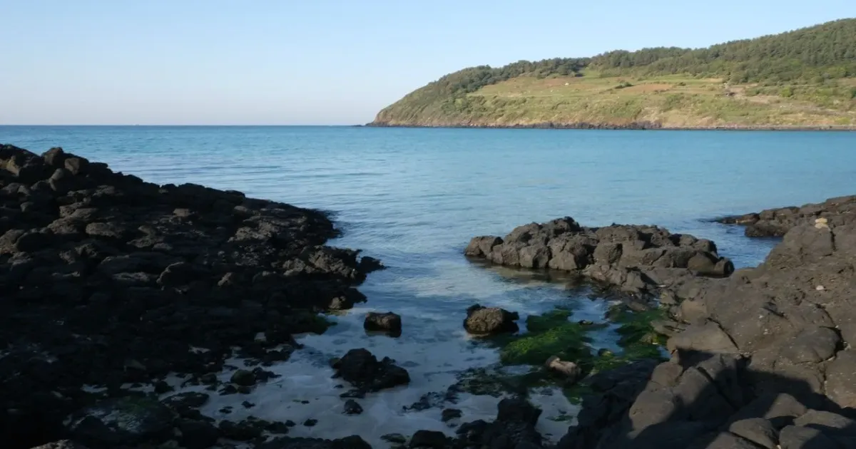 Pulau Jeju di Korea Selatan_Foto Pexels