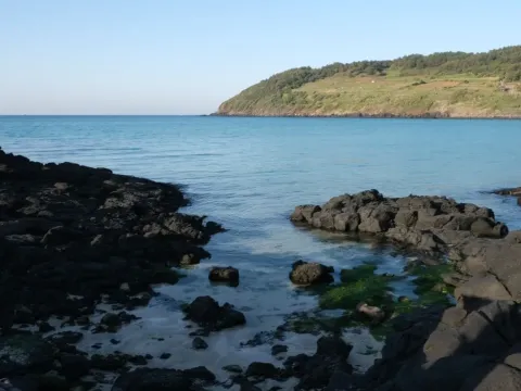 Pulau Jeju di Korea Selatan_Foto Pexels