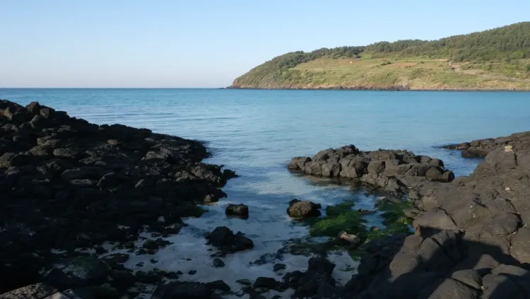 Pulau Jeju di Korea Selatan_Foto Pexels