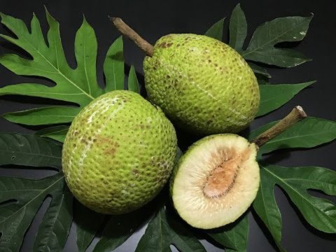 Sukun Superfood Asli Indonesia