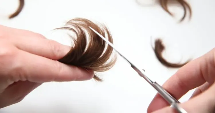 Trimming trim rambut