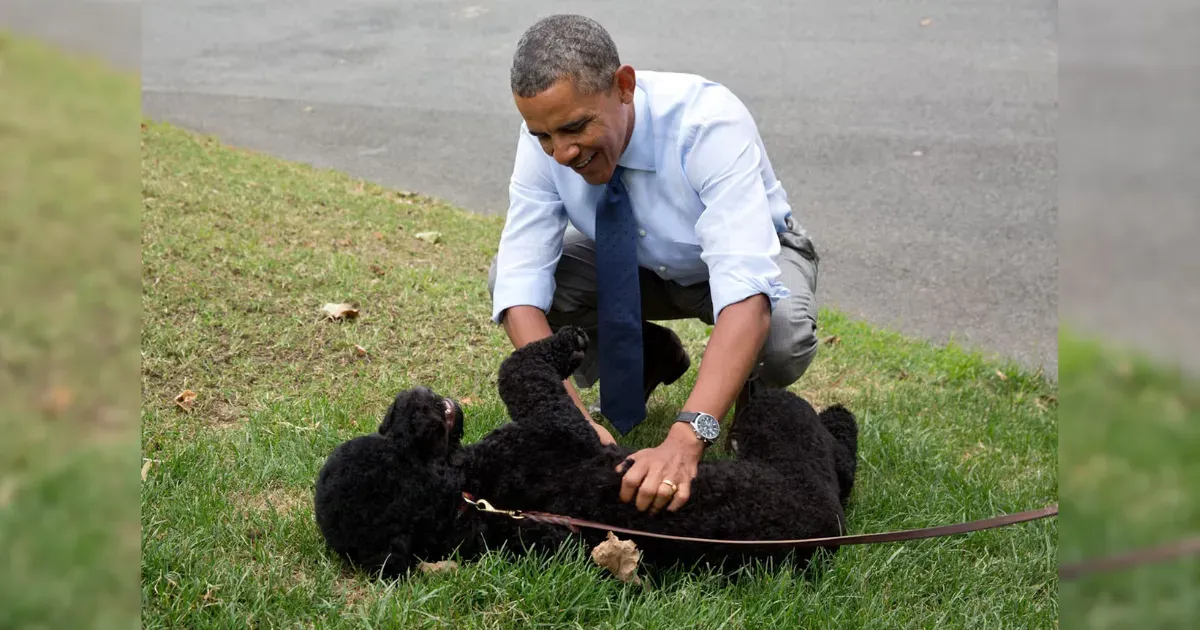 Barack Obama dan Sunny