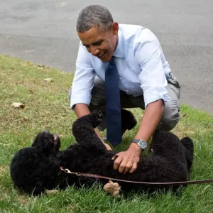 Barack Obama dan Sunny