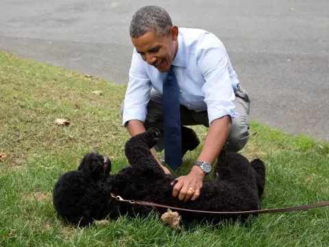 Barack Obama dan Sunny