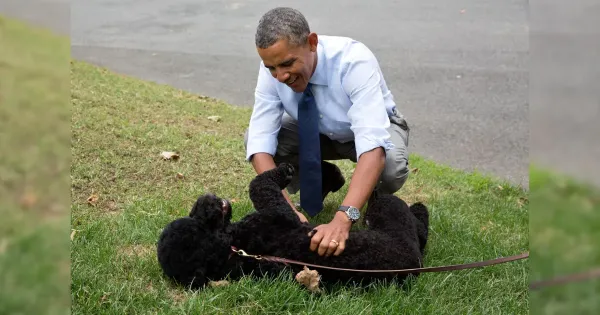 Barack Obama dan Sunny Barack Obama dan Sunny