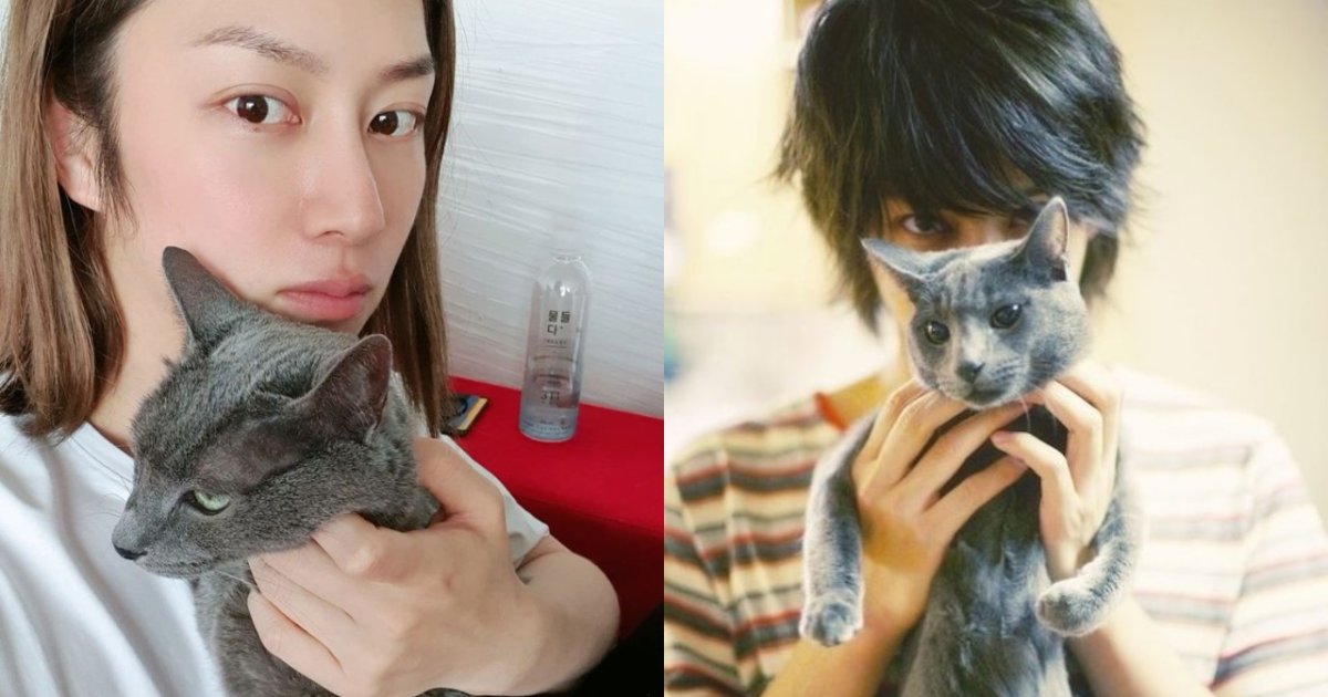 Kucing Heecul Super Junior Heebum Meninggal di Usia 20 Tahun