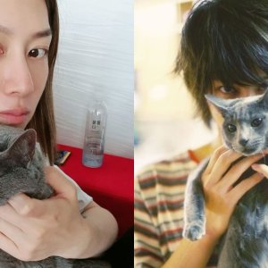 Kucing Heecul Super Junior Heebum Meninggal di Usia 20 Tahun