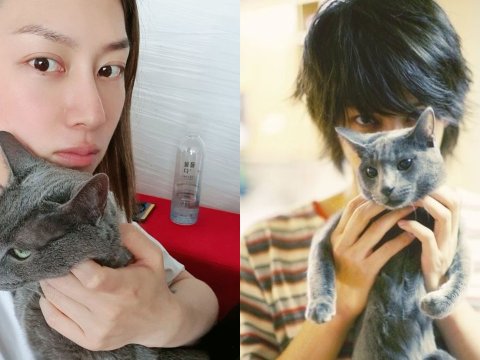 Kucing Heecul Super Junior Heebum Meninggal di Usia 20 Tahun