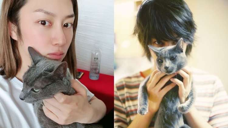 Kucing Heecul Super Junior Heebum Meninggal di Usia 20 Tahun