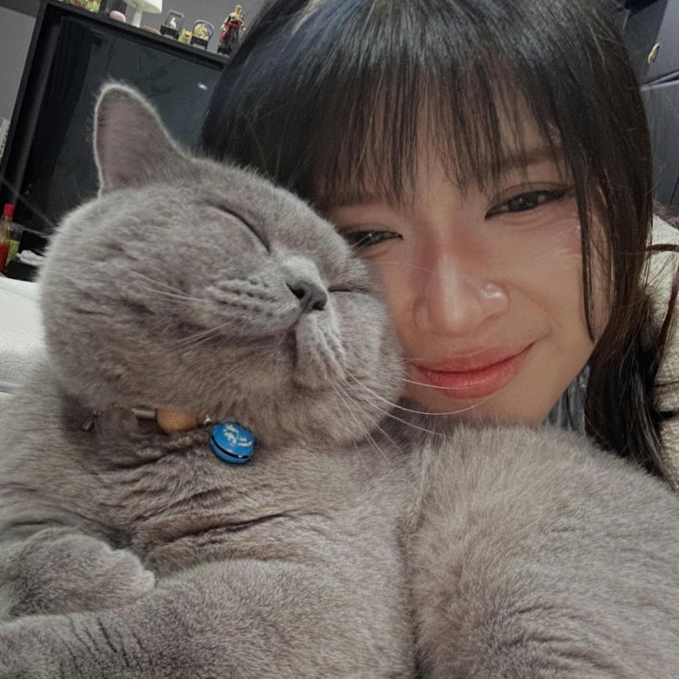 Kucing Tiara Andini Tiara Andini bersama Moi. Foto: Dok. Instagram @tiaraandini