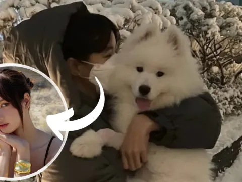 Lisa BLACKPINK Anjing Samoyed