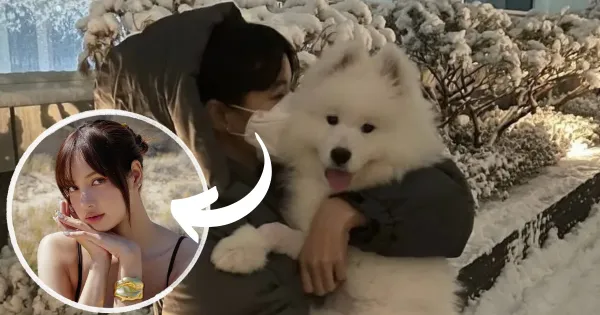 Lisa BLACKPINK Anjing Samoyed
