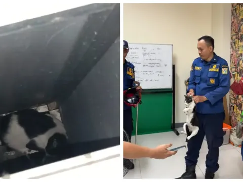 Penyelamatan seekor kucing oleh Damkar Kebayoran Lama di Redaksi Vivia