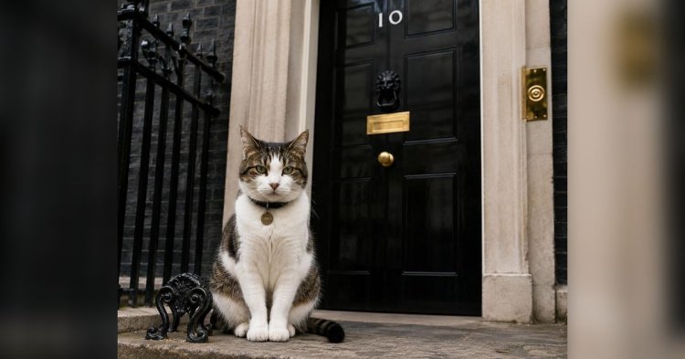 Larry the Cat di Kantor Perdana Menteri Inggris.(Foto: Kantor Perdana Menteri)