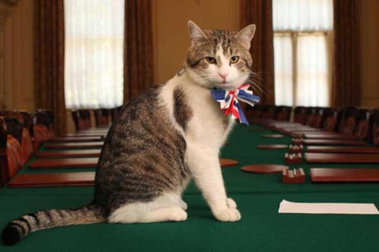 Boots di Government House Selandia Baru.(Foto: Gov. UK) Boots di Government House Selandia Baru.(Foto: Gov. UK)