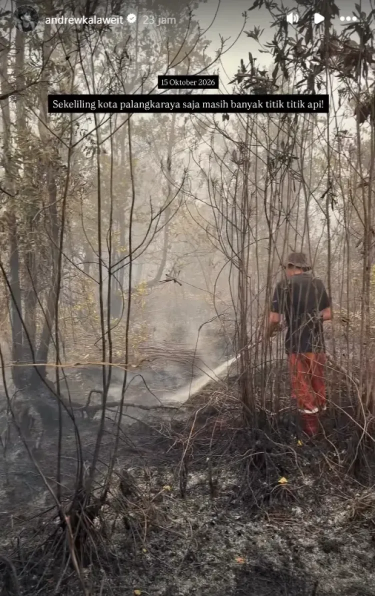 Andrew Kalaweit Karhutla Kalimantan Tengah Andrew Kalaweit memperlihatkan kondisi karhutla Kalimantan Tengah. Foto: Dok. Instagram @andrewkalaweit