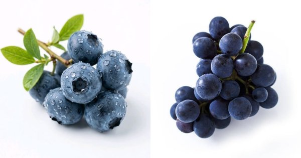 Blueberry dan Anggur