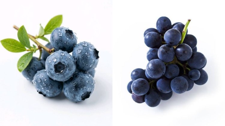 Blueberry dan Anggur