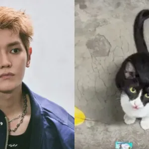 Kucing JPO Taeyong NCT