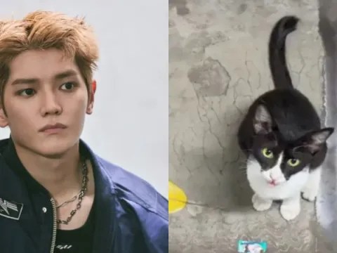 Kucing JPO Taeyong NCT