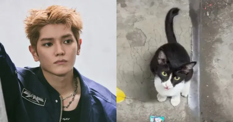 Kucing JPO Taeyong NCT