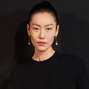 Liu wen