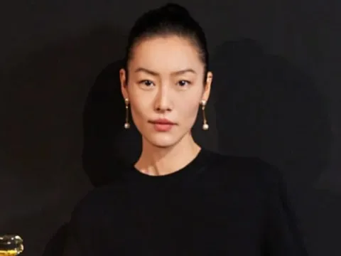 Liu wen