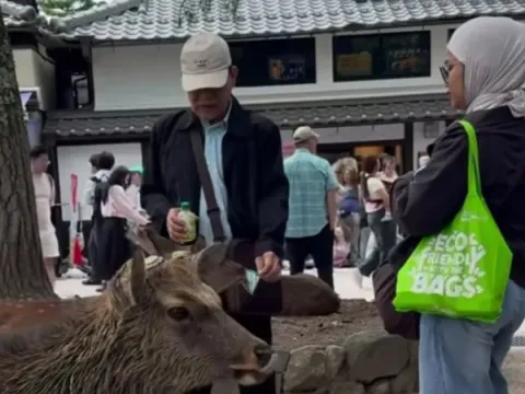 WNI Rusa Nara Park Jepang