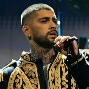 Zayn Malik (2)